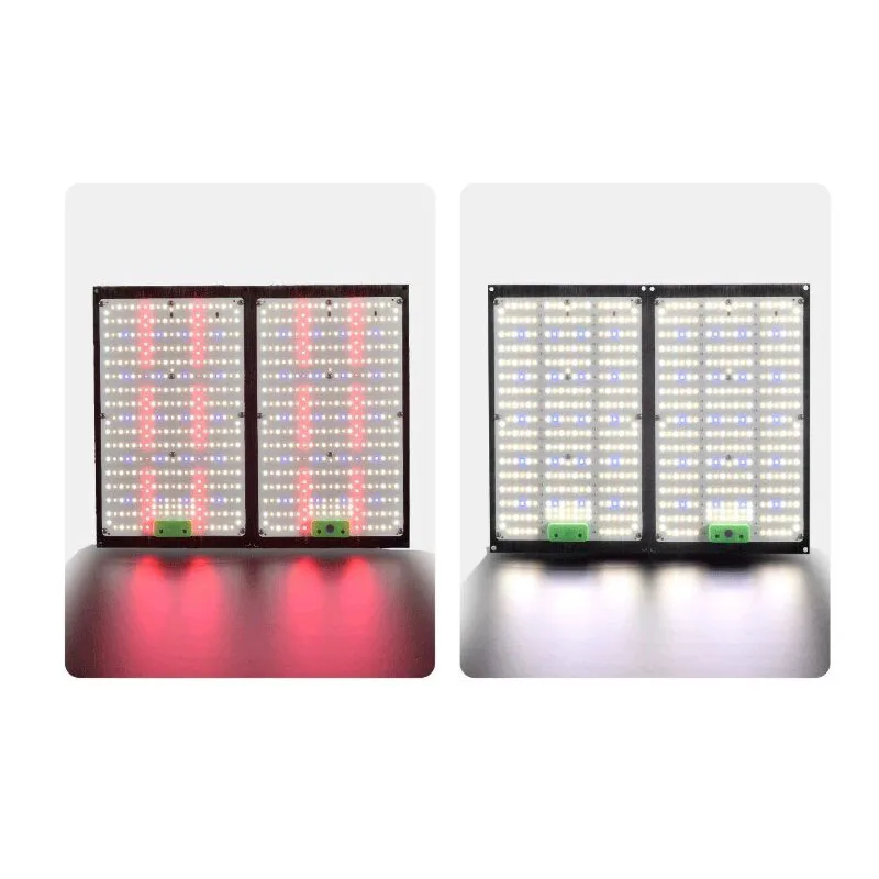 LED 퀀텀보드 식물 재배 조명, 실내 온실 채소 및  - Grow Light Led 리뷰 및 가격
