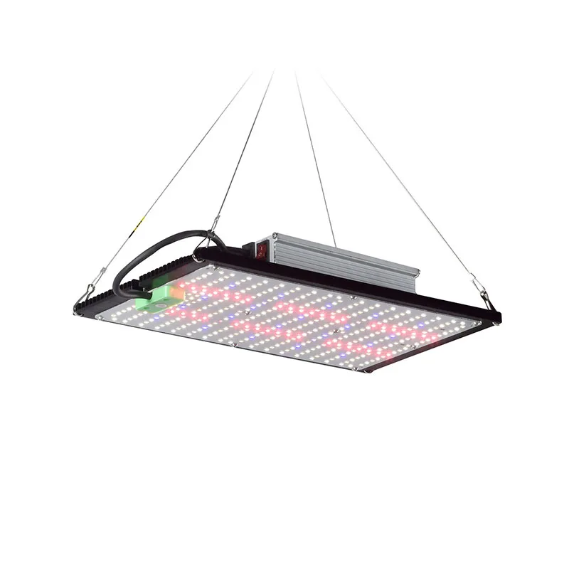 LED 퀀텀보드 식물 재배 조명, 실내 온실 채소 및  - Grow Light Led 리뷰 및 가격