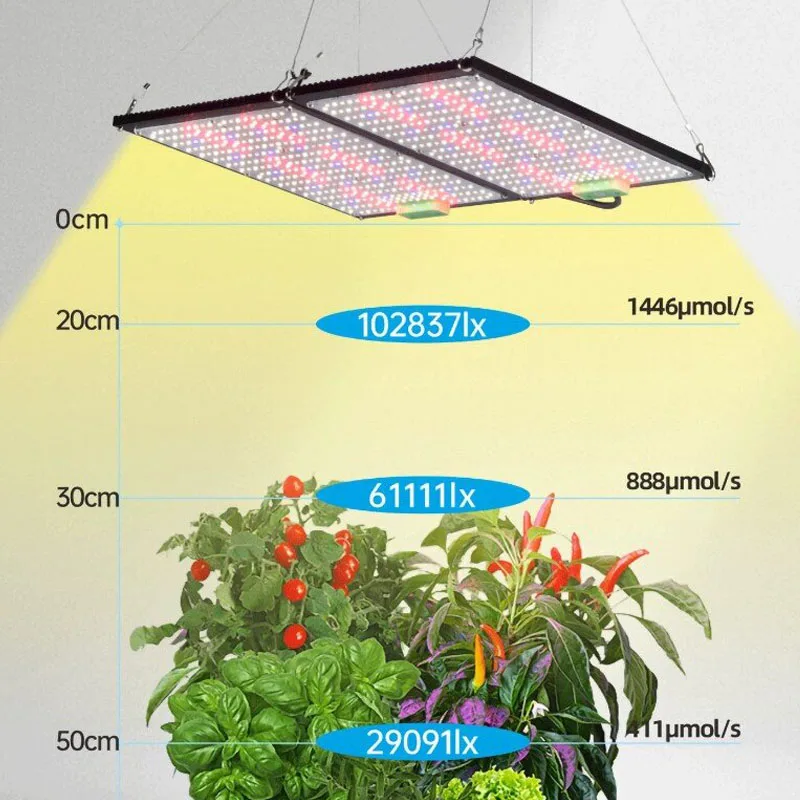 LED 퀀텀보드 식물 재배 조명, 실내 온실 채소 및  - Grow Light Led 리뷰 및 가격