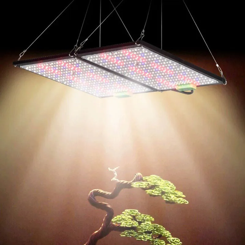 LED 퀀텀보드 식물 재배 조명, 실내 온실 채소 및  - Grow Light Led 리뷰 및 가격