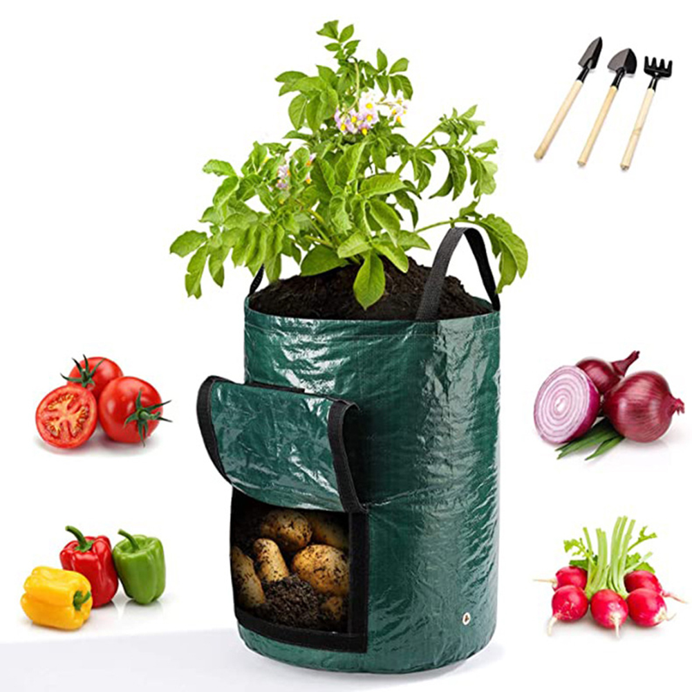 1개 10갤런 용량의 손잡이가 있는 야채 식물 재배용  - Grow Bag 리뷰 및 가격